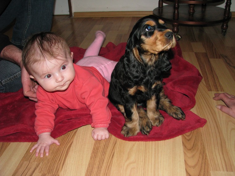 Arny u Pilzu s kamaradkou Laurou VANOCE 2009.jpg